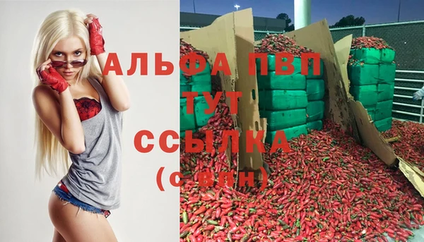 стафф Алексеевка