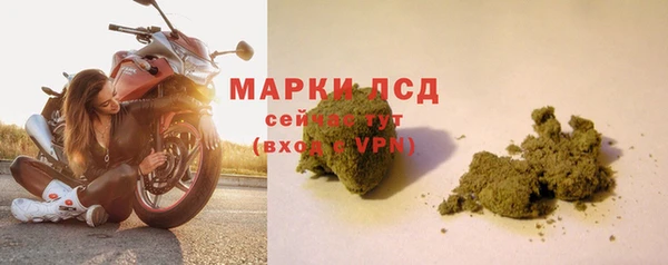 ГАЛЛЮЦИНОГЕННЫЕ ГРИБЫ Алзамай