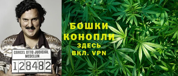 ГАЛЛЮЦИНОГЕННЫЕ ГРИБЫ Алзамай