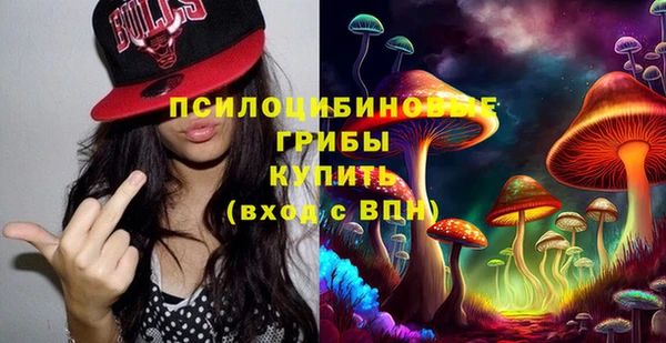 ГАЛЛЮЦИНОГЕННЫЕ ГРИБЫ Алзамай