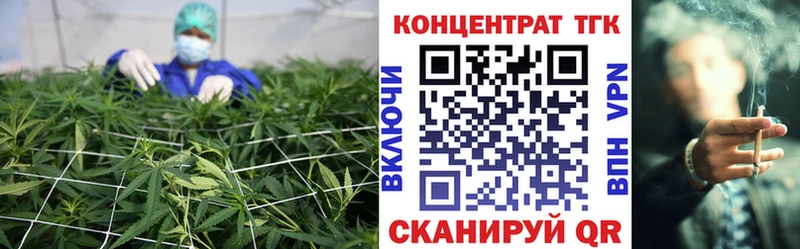 дарк нет телеграм  Михайловск  ТГК жижа 