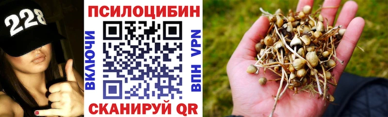 Галлюциногенные грибы Cubensis  Михайловск 